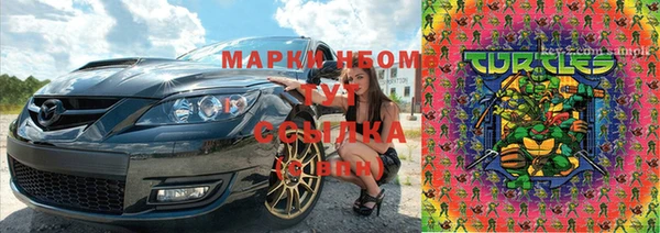 шишки Абинск